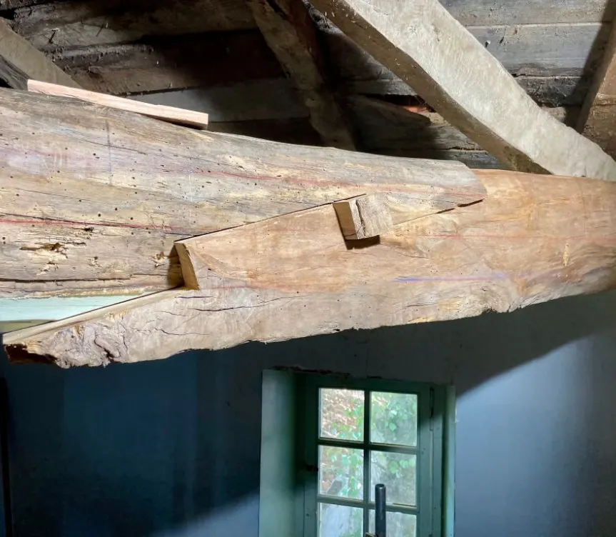 Assemblage traditionnel du greffon sur l’entrait ancien